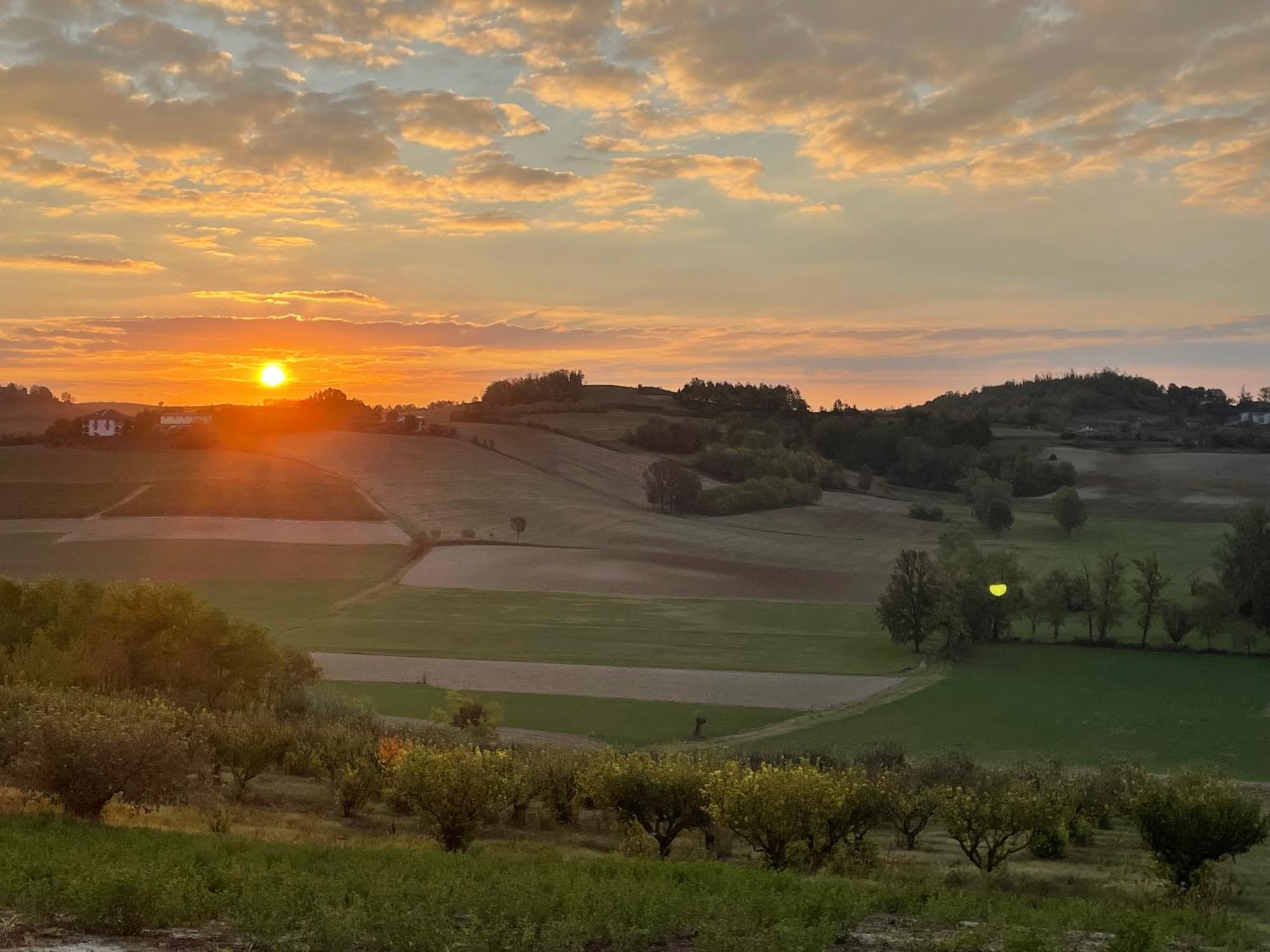 Azienda Agricola Tenuta Del Barone Calliano  エクステリア 写真
