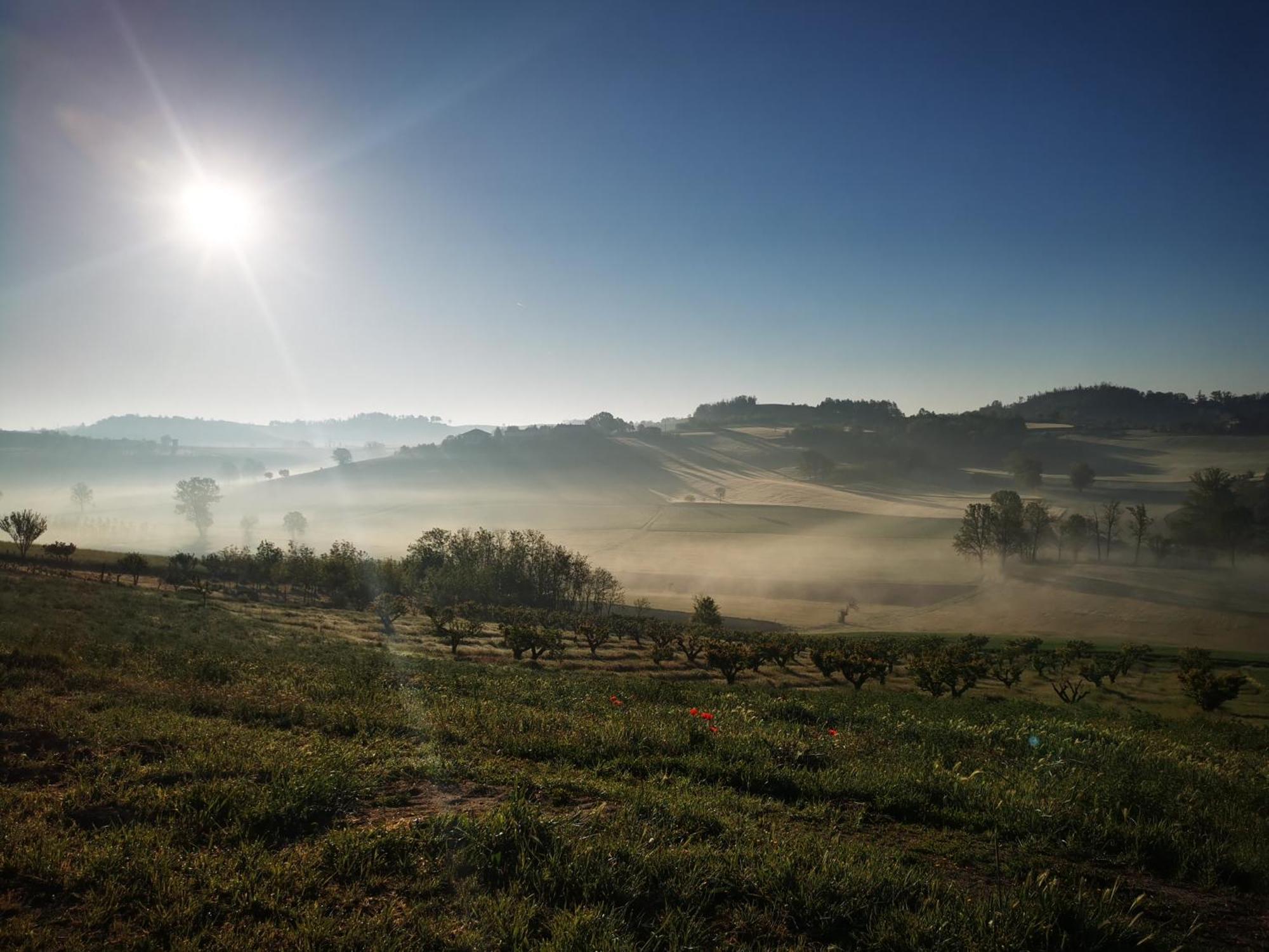 Azienda Agricola Tenuta Del Barone Calliano  エクステリア 写真